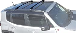 BRIGHTLINES Renegade Crossbars Roof Rack