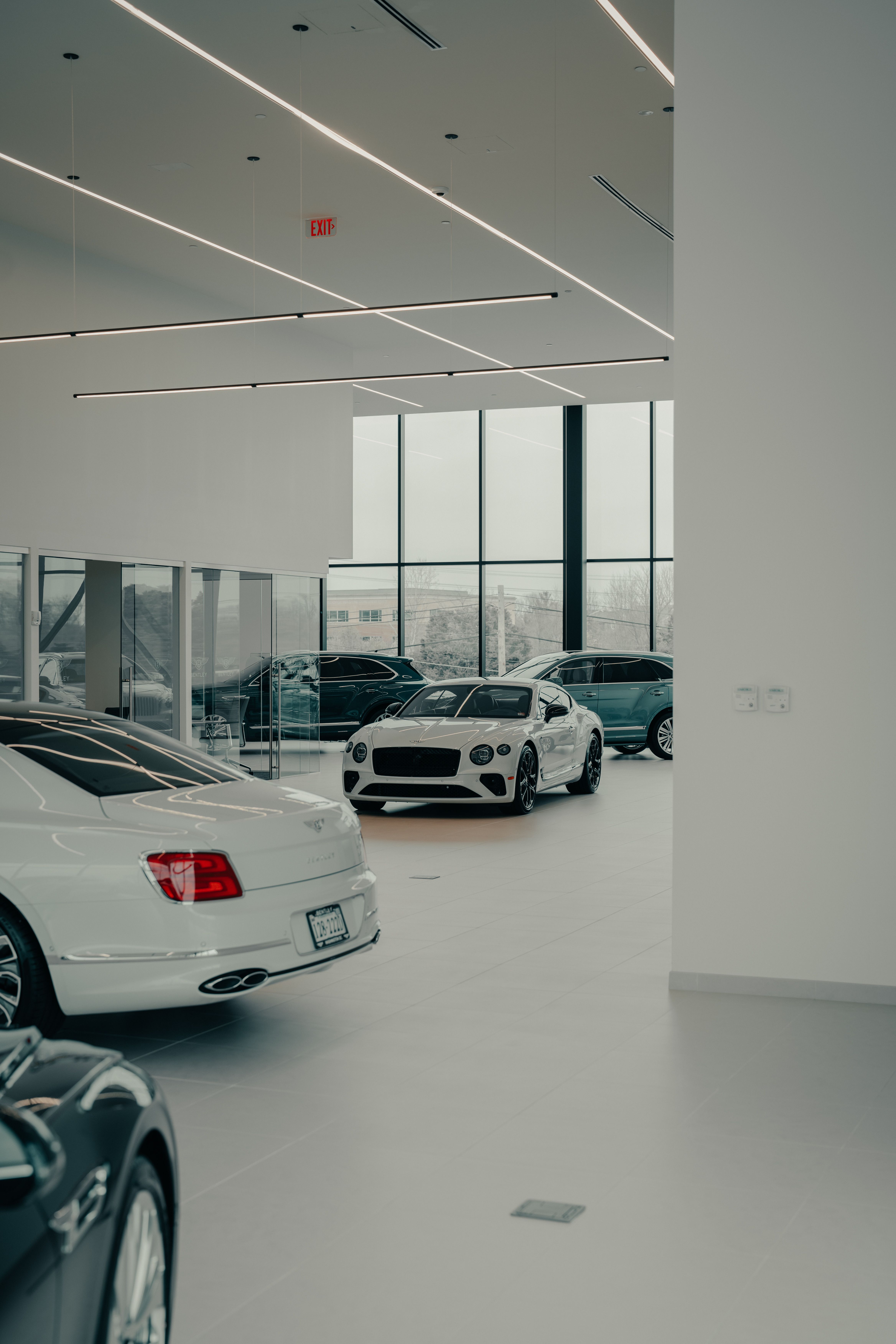 Sleek luxury cars showcased in a contemporary indoor dealership space
